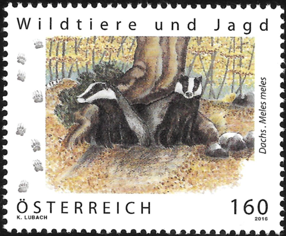 Badger