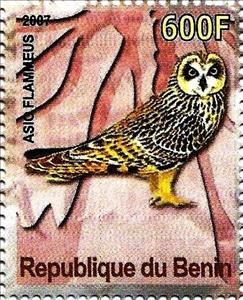 Stamp, Asic flammeus, Cinderellas,  , Birds, Owls