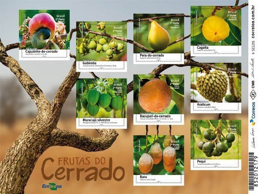 Fruits of Cerrado