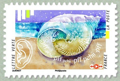 The noise of the sea in the a seashell