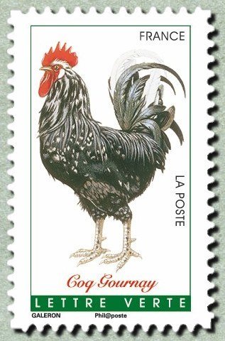Gournay rooster