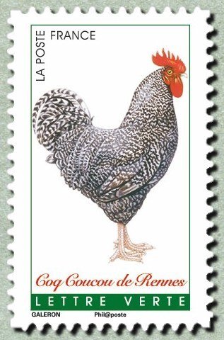 Cuckoo Rooster Rennes