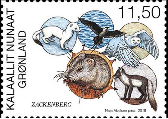 Zackenberg Research Station