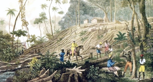 Colonisation