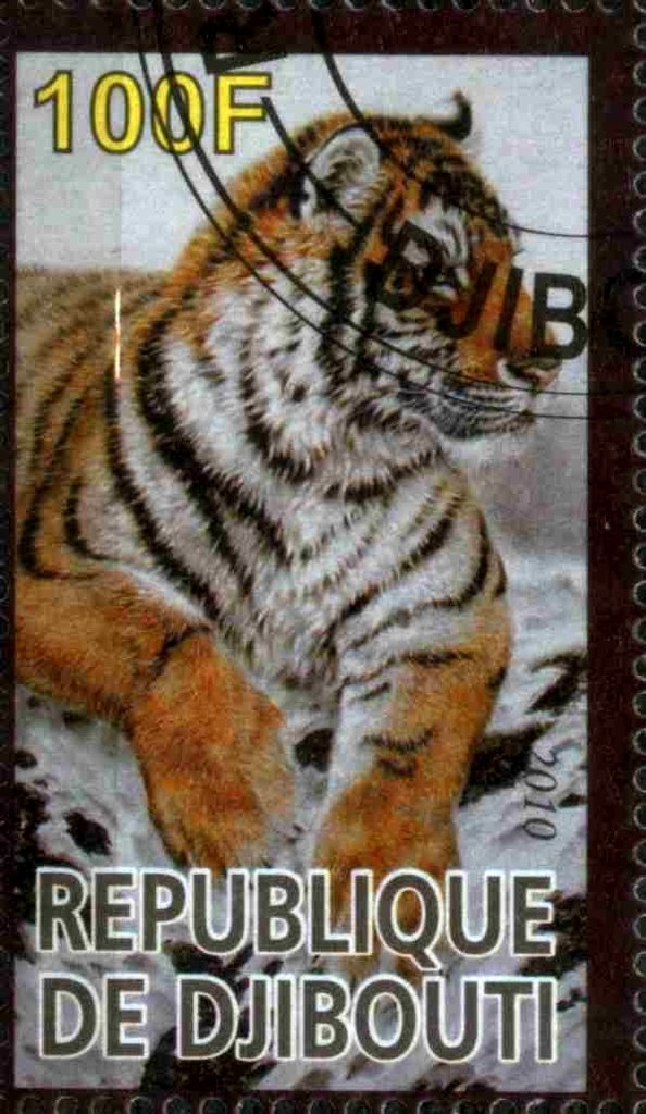 Tiger