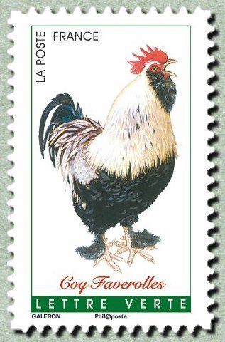 Faverolles rooster