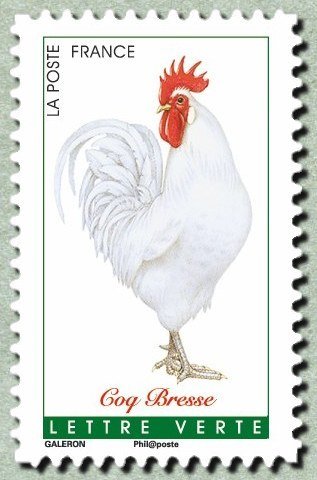 Bresse rooster