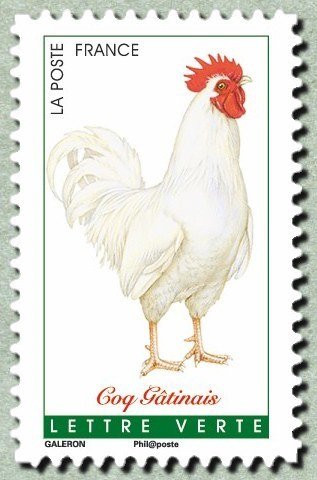 Gâtinais rooster