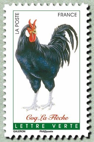 La Flèche rooster