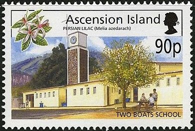 Two Boats School