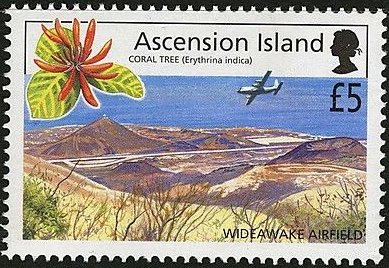 Wideawake airfield