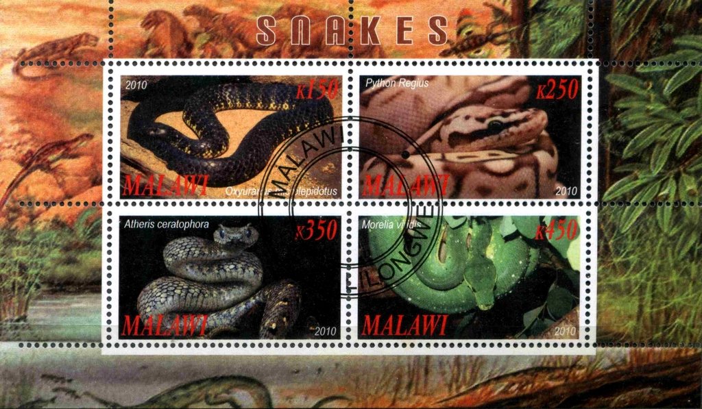 Snakes
