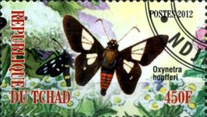 Stamp, Oxynetra hopfferi, Cinderellas,  , Butterflies