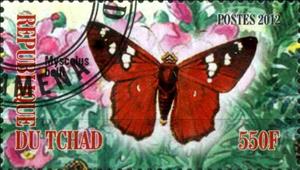 Stamp, Myscelus belti, Cinderellas,  , Butterflies