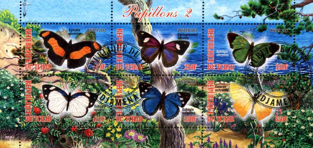 Papillons 2