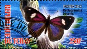Stamp, Cyclogramma bacchis, Cinderellas,  , Butterflies