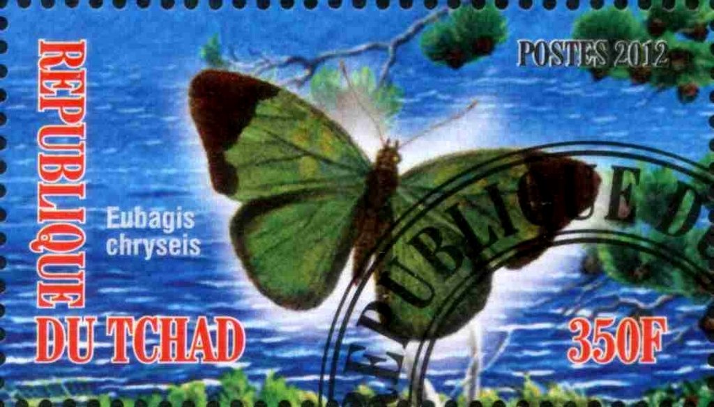 Eubagis chryseis