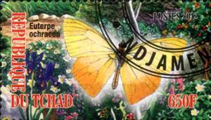 Stamp, Euterpe ochracea, Cinderellas,  , Butterflies