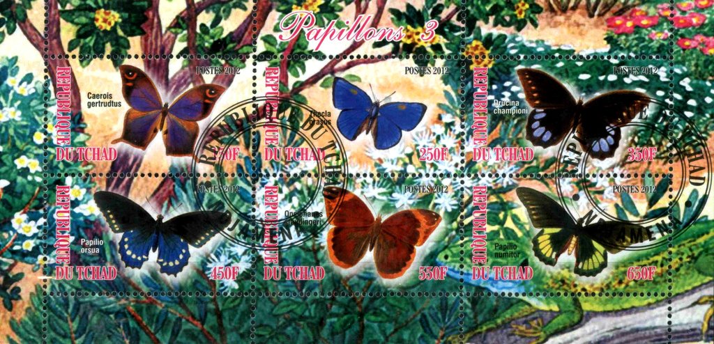 Papillons 3
