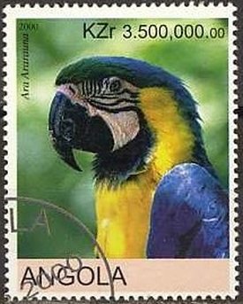 Parrots