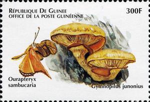 Stamp, Gymnopilus junonius, Guinea,  , Animals (Fauna), Insects, Mushrooms