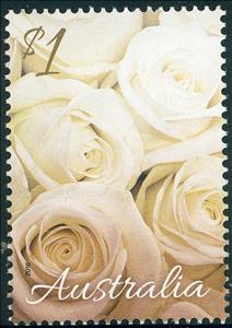 Stamp, White Rose, Australia,  , Flowers, Roses