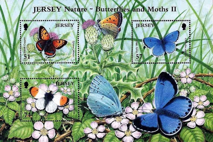 Butterflies