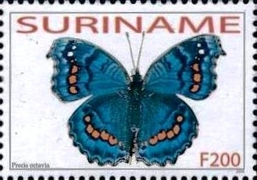 Stamp, Gaudy Commodore (Precis octavia), Suriname,  , Animals (Fauna), Butterflies, Insects