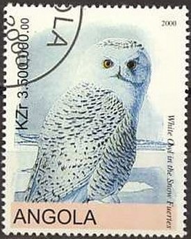 Stamp, Owls, Cinderellas,  