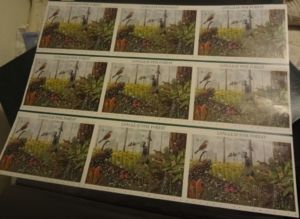 Longleaf Pine Forest UNCUT PRESS SHEET
