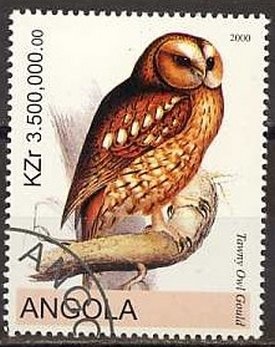 Owls