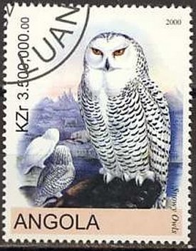 Owls