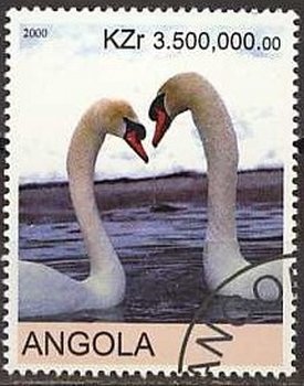 Swans