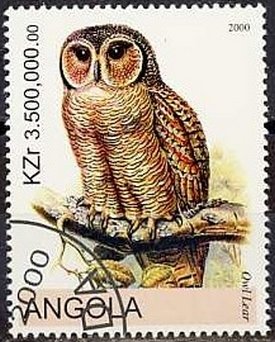 Owls