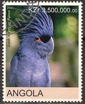 Parrots