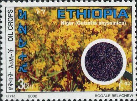 Niger seed
