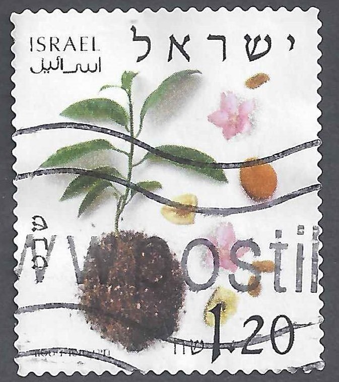 Shevat