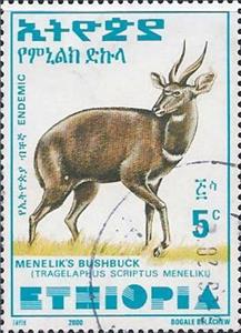 Stamp, Menelik's Bushbuck (Tragelaphus scriptus meneliki), Ethiopia,  , Animals (Fauna), Antelopes, Mammals