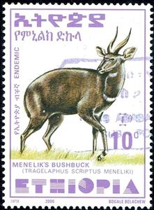 Stamp, Menelik's Bushbuck (Tragelaphus scriptus meneliki), Ethiopia,  , Animals (Fauna), Antelopes, Mammals