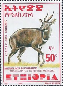Stamp, Menelik's Bushbuck (Tragelaphus scriptus meneliki), Ethiopia,  , Animals (Fauna), Antelopes, Mammals