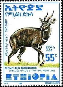 Stamp, Menelik's Bushbuck (Tragelaphus scriptus meneliki), Ethiopia,  , Animals (Fauna), Antelopes, Mammals