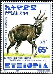 Stamp, Menelik's Bushbuck (Tragelaphus scriptus meneliki), Ethiopia,  , Animals (Fauna), Antelopes, Mammals