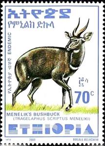 Stamp, Menelik's Bushbuck (Tragelaphus scriptus meneliki), Ethiopia,  , Animals (Fauna), Antelopes, Mammals