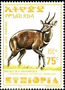 Stamp, Menelik's Bushbuck (Tragelaphus scriptus meneliki), Ethiopia,  , Animals (Fauna), Antelopes, Mammals