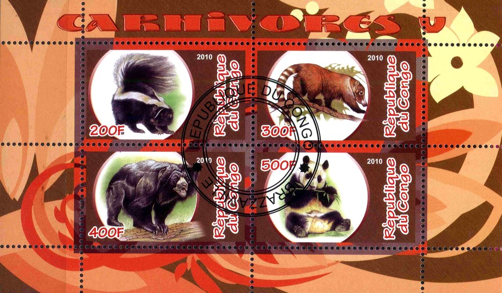 Carhivores V