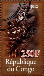 Stamp, Owl, Cinderellas,  , Birds, Owls