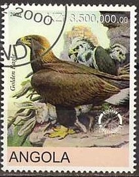 Eagles