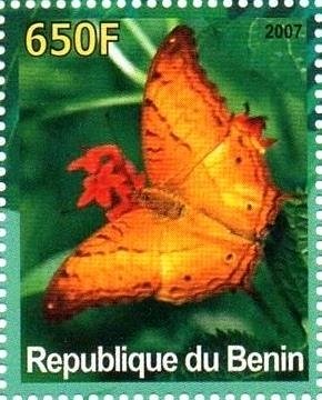 Stamp, Butterfly, Cinderellas,  , Butterflies, Insects