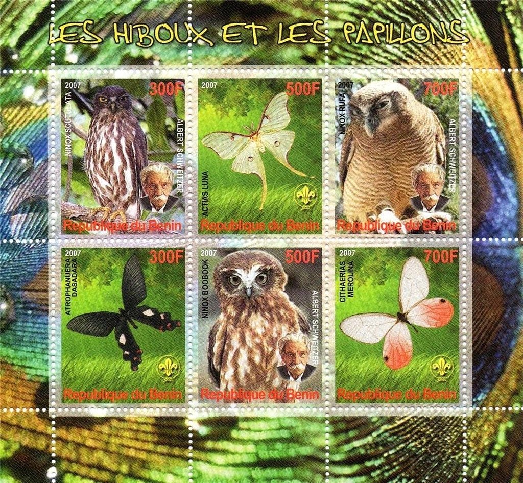 Owls and butterflies