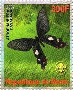 Atrophanuera dasadara